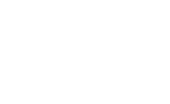 logo SAF - Syndicat de l'Art Funeraire